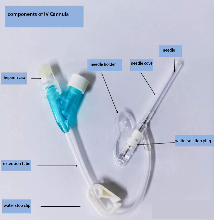 parts of IV Cannula.jpg