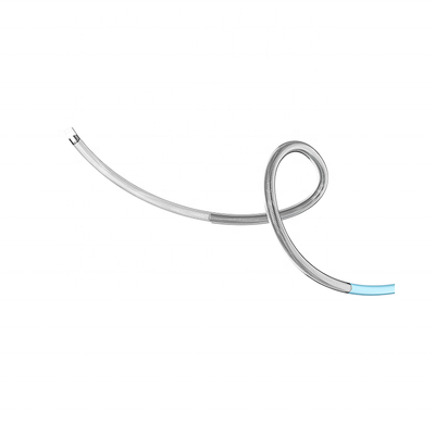 Neuro Supporting Catheter for Neurosurgery Intervention
